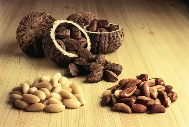 Brazil nut for improving potency